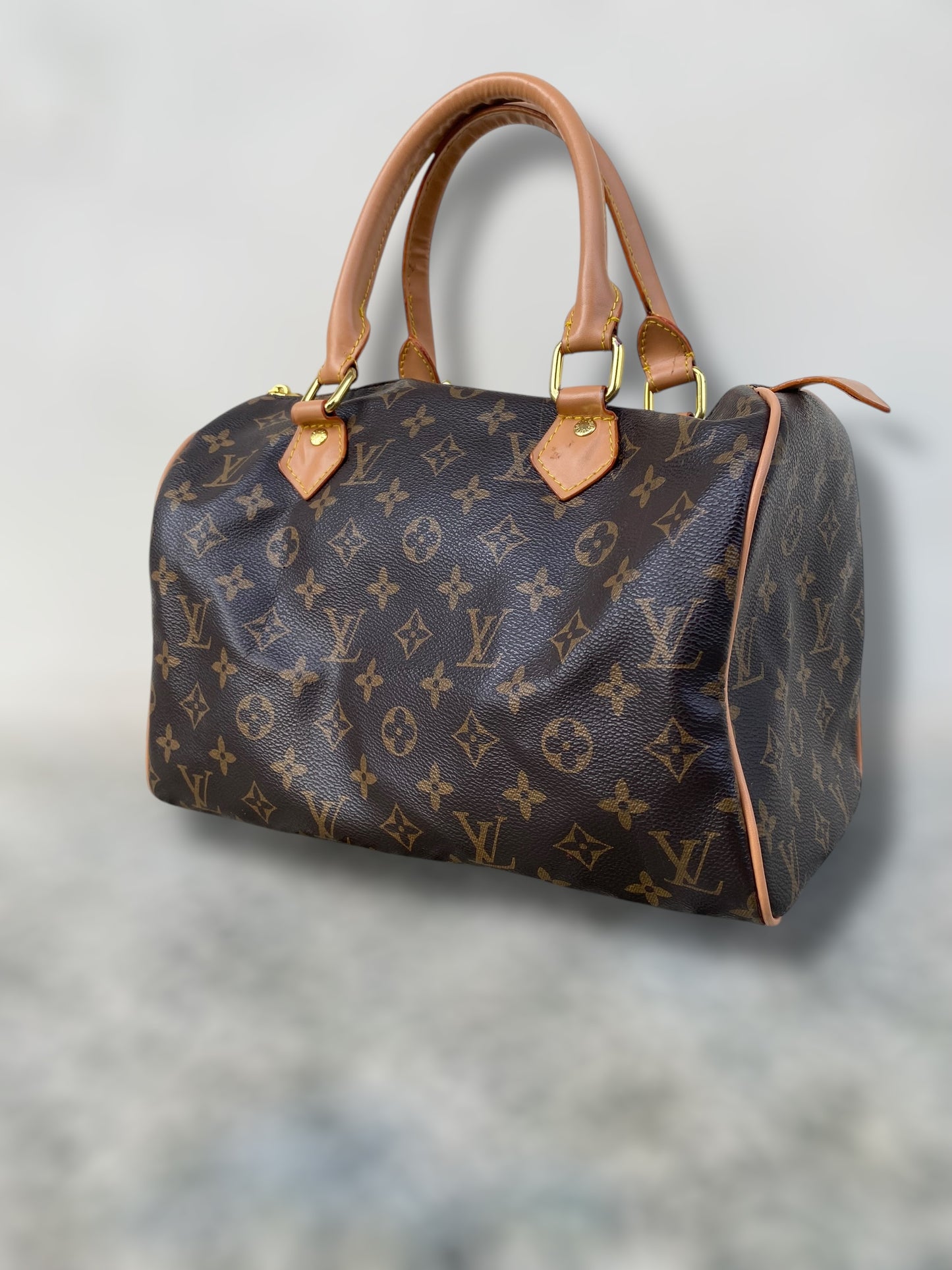 Vintage Louis Vuitton Speedy bag