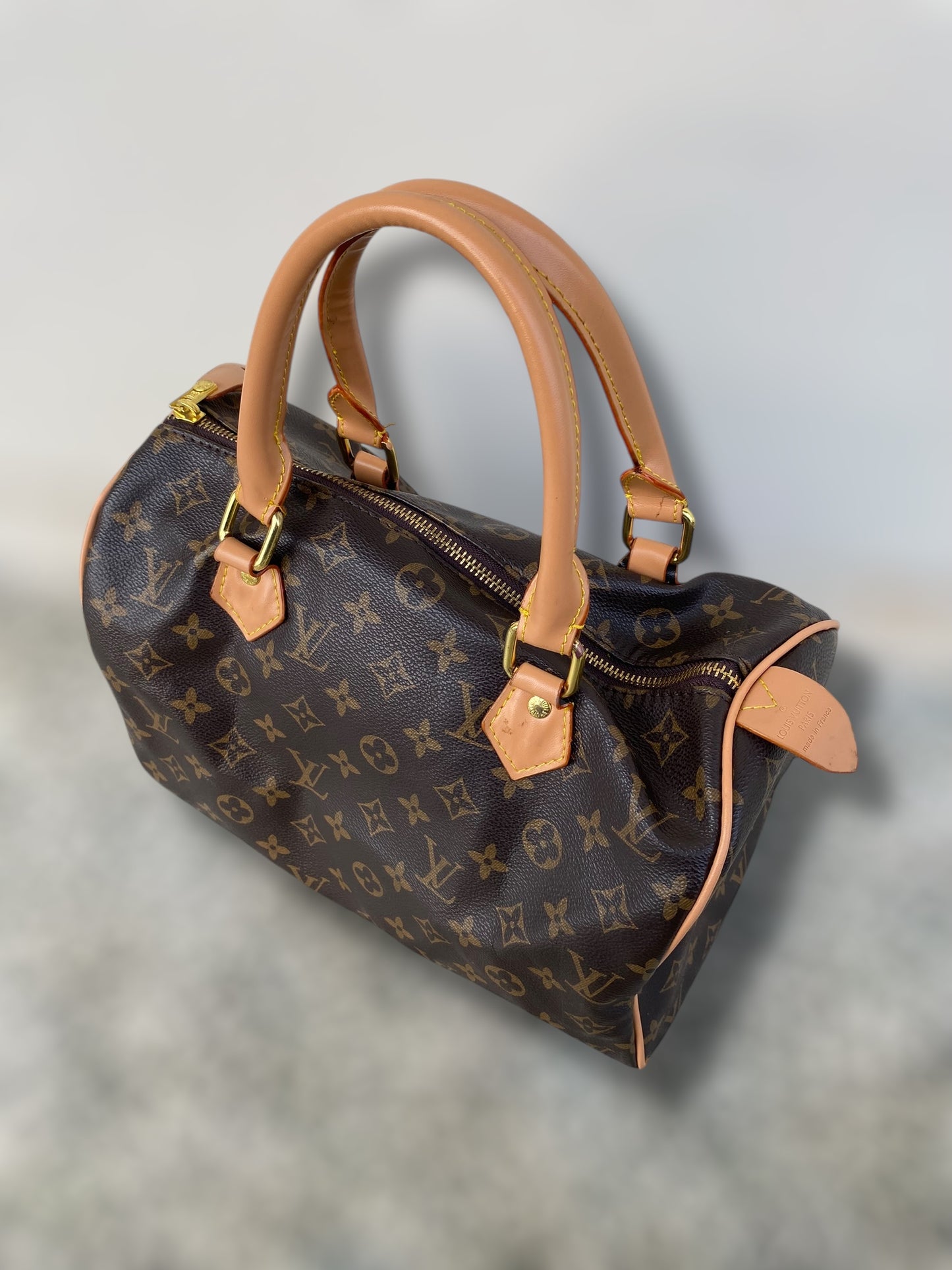 Vintage Louis Vuitton Speedy bag