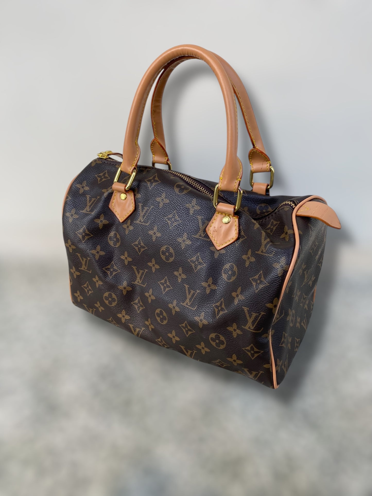 Vintage Louis Vuitton Speedy bag