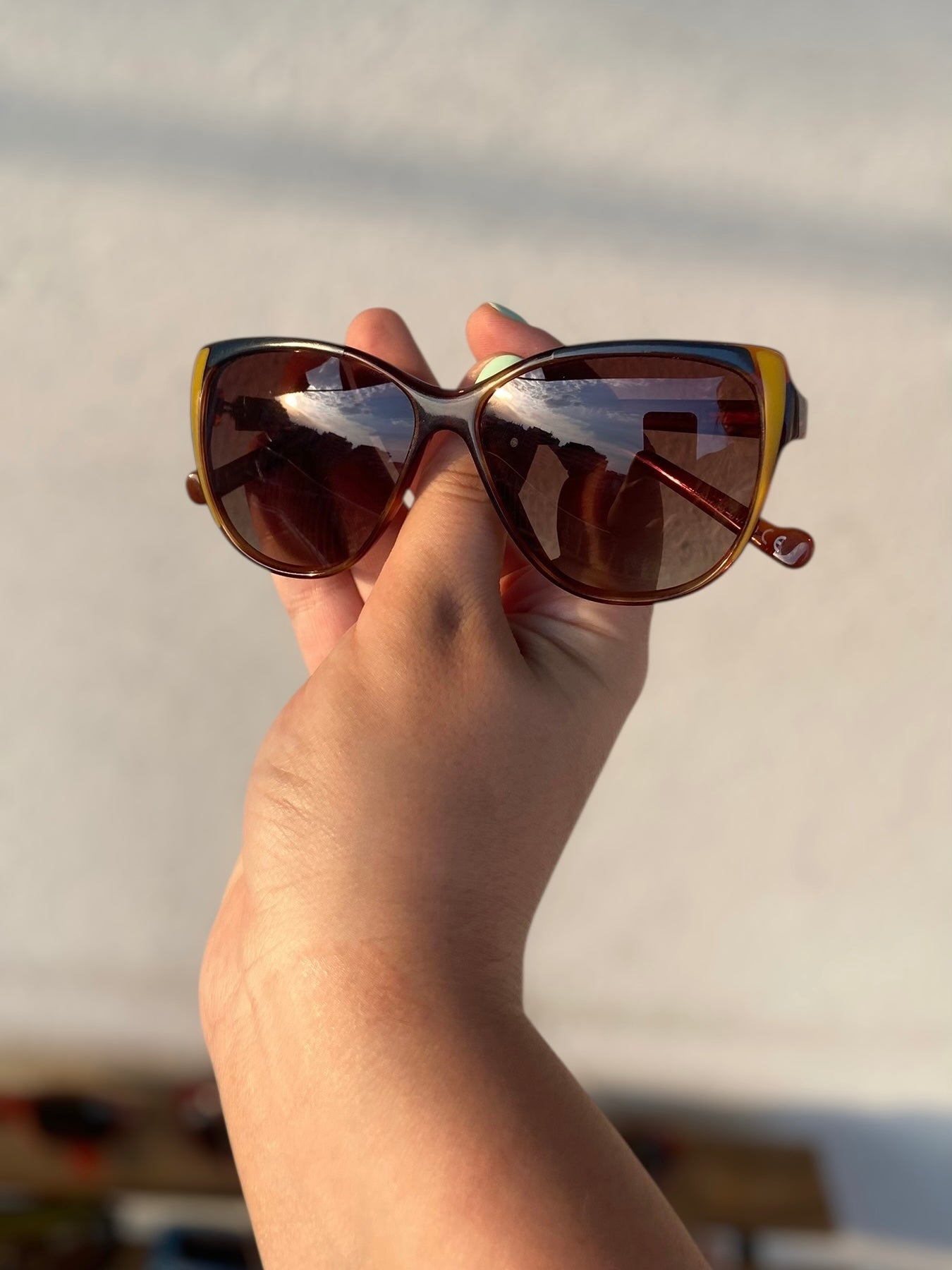 Vintage butterfly polarized sunglasses