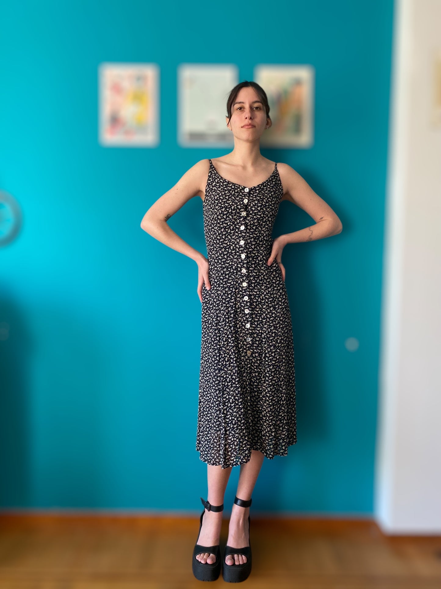 Front button up cottage dress