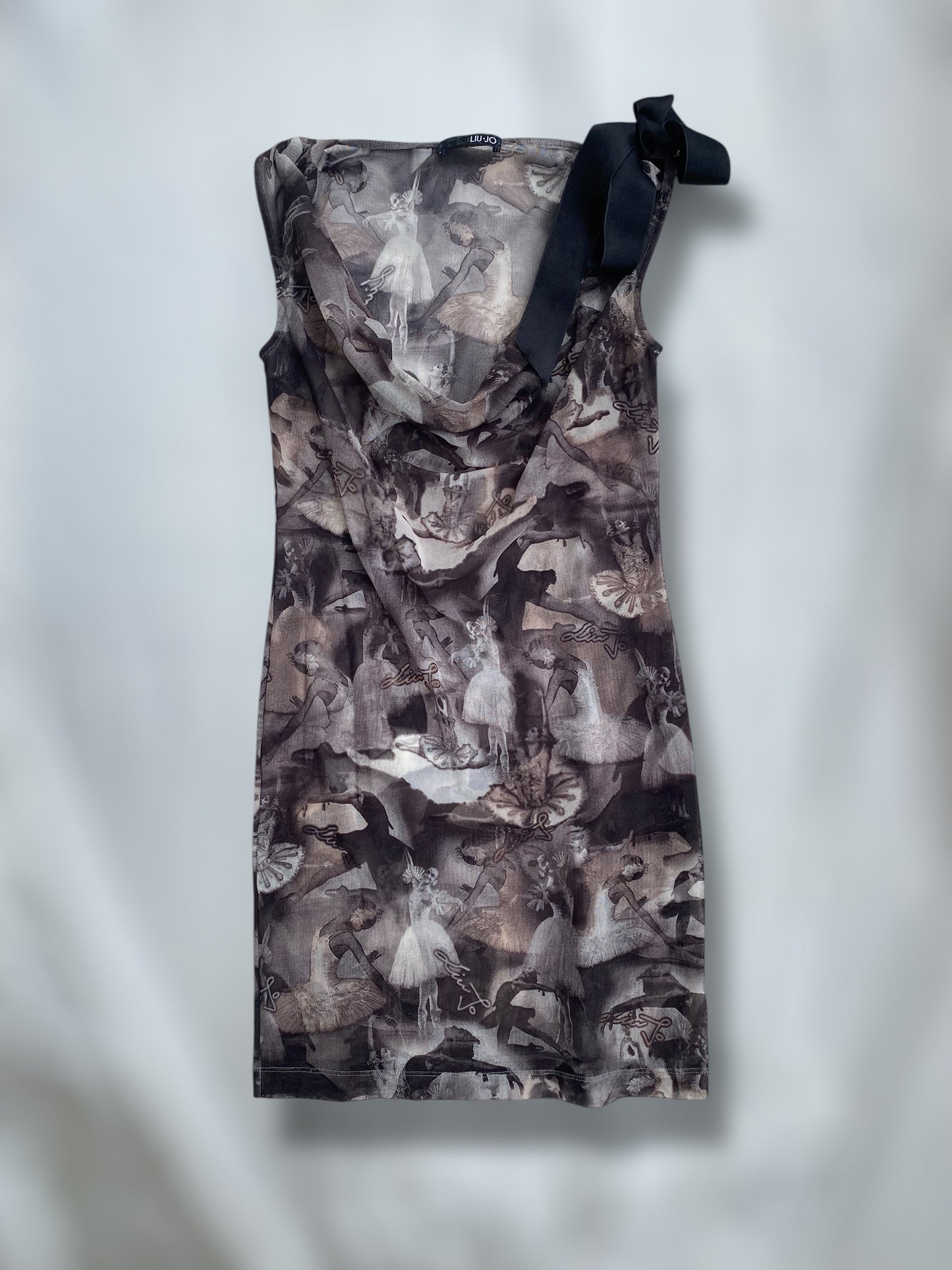 00s see through balarinas dress