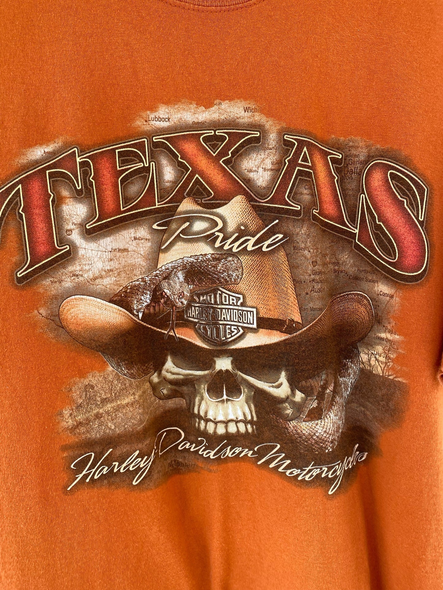 Vintage Harley Davidson Texas T-shirt